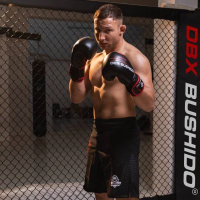 4. 14oz Boxhandschuhe - Ninja - Legacy Series