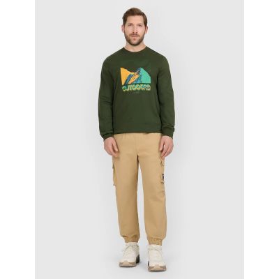 4. Herren-Cargohose, 4F 4FRAW25TTROM1690-83S