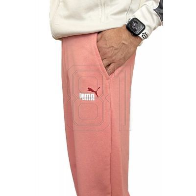 9. Puma Ess+ 2 Col Logo Pants M 586768 62