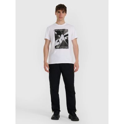 4. Herren-T-Shirt 4F 4FRAW25TTSHM3258-10S