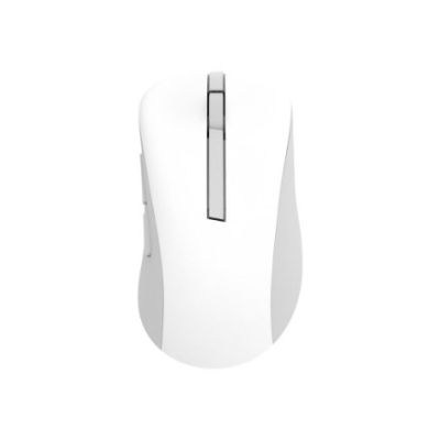 10. ASUS Wireless Mouse MD102 Universal Rechtshänder RF Wireless + Bluetooth Optischer Sensor 1600 DPI