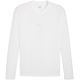 Herren-T-Shirt Puma TeamGOAL Baselayer Tee Longsleeve, weiß, 658777 04