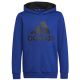 adidas Big Logo Essentials Hoody Jr HN1912 Sweatshirt