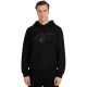 Herren Sweatshirt 4F M1766 tiefschwarz 4FWMM00TSWSM1766 20S