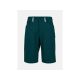 PEAK PERFORMANCE M Iconiq MTB Shorts, grün
