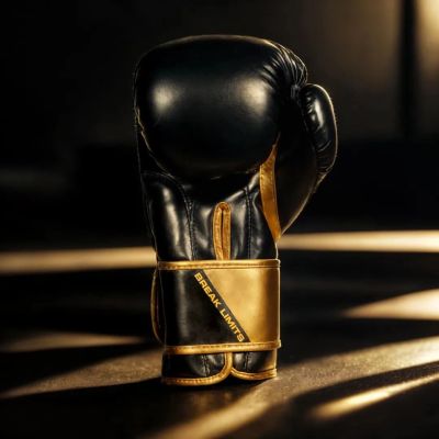 17. 10oz Boxhandschuhe - Infinity - Origin Series