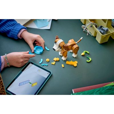 11. LEGO Creator 31382 Verspielter Welpe