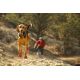 2. Hundeschuhe Ruffwear Grip Trex Dog Boots – Obsidian Black, Größe L