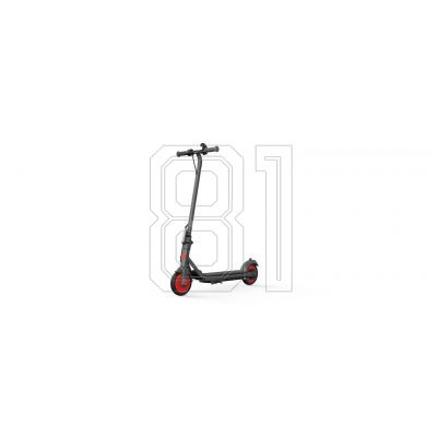 15. Segway-Elektroroller ZING C20
