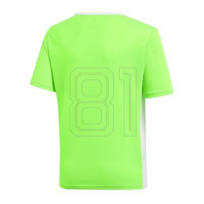 2. T-shirt adidas Entrada 18 Jr CE9755