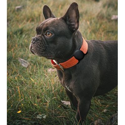 5. Apple AirTag Silikonhülle für Hunde- oder Katzenhalsband - Schwarz