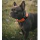 5. Apple AirTag Silikonhülle für Hunde- oder Katzenhalsband - Schwarz
