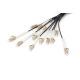 5. Digitus werkseitig konfektioniertes universelles Glasfaser-Breakout-Kabel, Multimode OM4, 12 Fasern, LC/UPC - LC/UPC