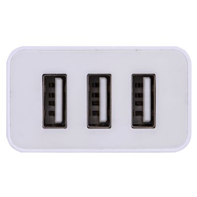 3. everActive SC-300 Wandladegerät (USB; weiß)