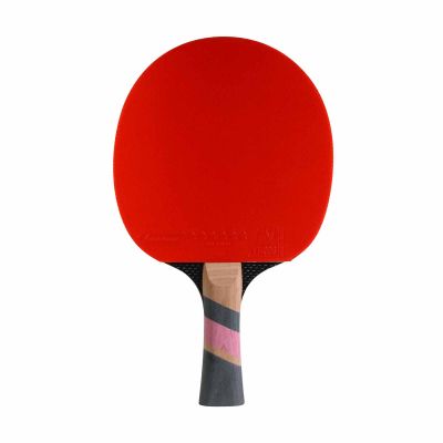 19. Conrilleau Excell Carbon 3000 Tischtennisschläger