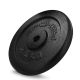 Gusseisengewicht 2,5 kg Spokey Sinis SPK-944483