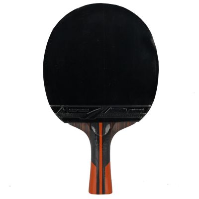 4. Aurora PRO 6* SG 6002 P-Pong-Schläger
