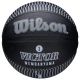 Wilson NBA Player Icon Victor Wembanyama Outdoor-Ball WZ3017801XB