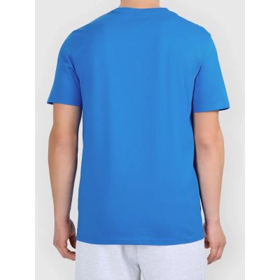 2. Herren-T-Shirt mit Aufdruck 4F 4FWAW26TTSHM3578-33S