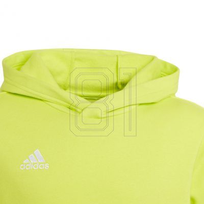 3. Sweatshirt adidas Entrada 22 Hoody Jr HC5069