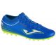 Joma Evolution 2404 AG M EVOS2404AG Schuhe