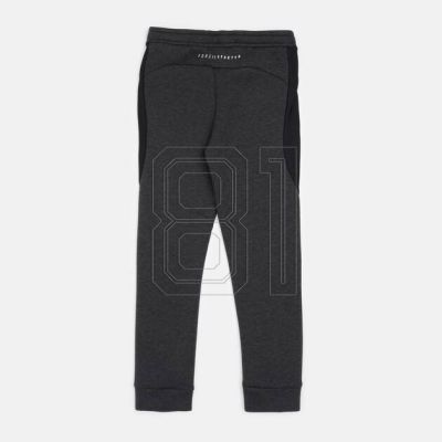 2. Puma Jr. Hose 580732 04