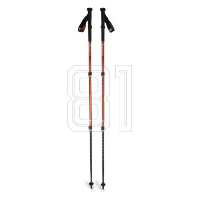 Black Diamond Trail Back Burnt Sienna Trekking Poles