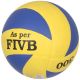 2. Volleyball NV 300 S863686