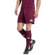 Herren-Shorts adidas Entrada 26 in Burgunderrot JZ2514