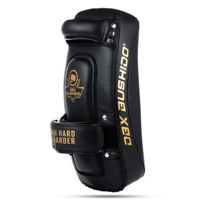 5. PAO Gold Thai Shields Paar | ProFighter | DBX Bushido