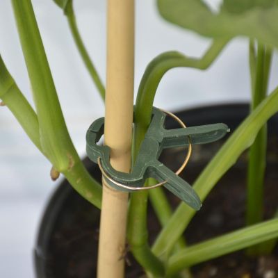 12. PFLANZENKLEMMEN 20 STÜCK PROGARDEN