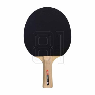 9. Cornilleau Sport 100 Tischtennisschläger