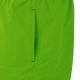 6. Crowell M 300/400 grüne Badeshorts