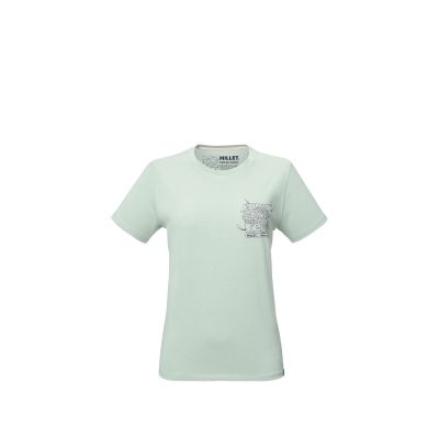 MILLET Cimaï Collab Ts Ss W Damen-T-Shirt Pastellgrün