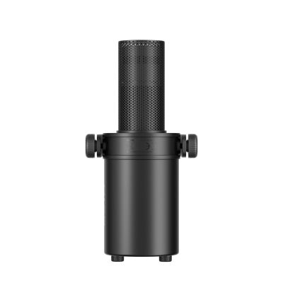 6. BOYA CastMic P60B Studiomikrofon mit Mikrofonarm, kabelgebunden, USB/XLR – Schwarz