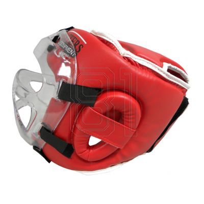15. Masters Boxhelm mit Maske KSSPU-M (WAKO-GENEHMIGT) 02119891-M02