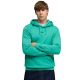 Puma ESS No. 1 Logo Centered Hoodie Grün 692914 40