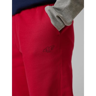 5. Jogginghose für Jungen 4F 4FJRSS26TTROM1824-62S