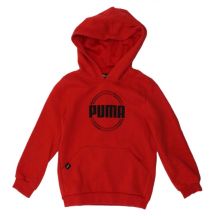Puma DCT Hoodie Jr 849258 Sweatshirt 11