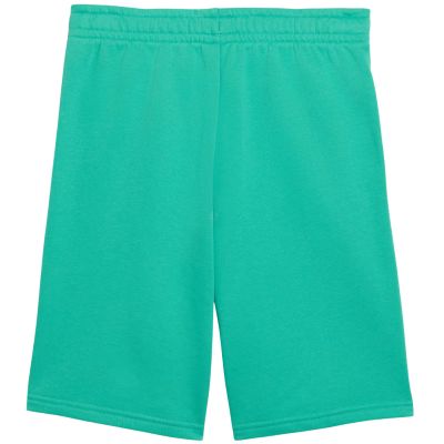 2. Puma ESS Small No. 1 Logo Kindershorts Grün 692974 40