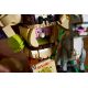 9. LEGO Icons 72423 – Shrek, Esel & Der gestiefelte Kater