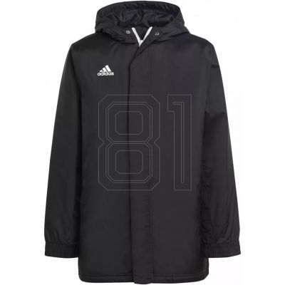 Adidas Entrada 22 Stadium M IB6076 Jacke