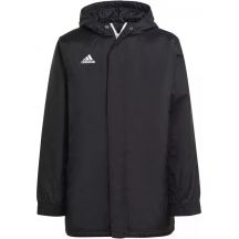 Jacket adidas Entrada 22 Stadium M IB6076