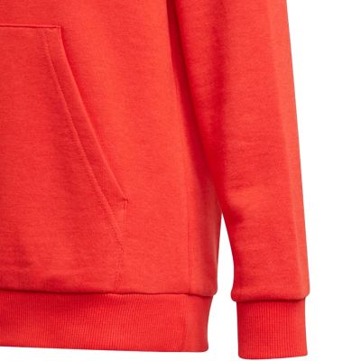 13. Adidas Essentials Big Logo Hoodie Jr GN4037 Sweatshirt