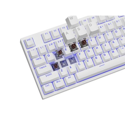 12. GENESIS Thor 404 TKL Gaming-Tastatur USB QWERTY Amerikanisches/Internationales Weiß