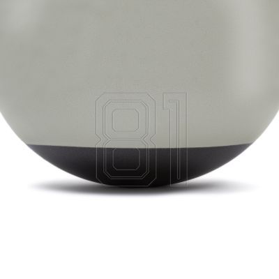 4. Gymnastics ball Reebok 65cm RAB-40016BK