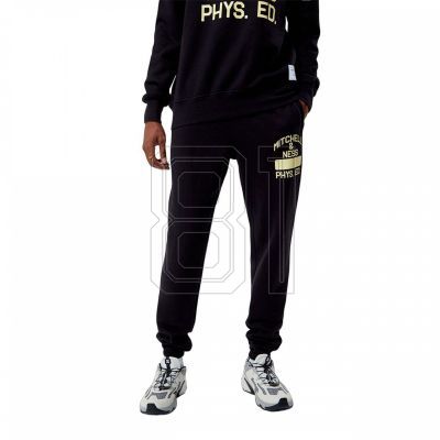 4. Mitchell & Ness Branded Fashion Graphic Jogginghose M PSWP5533-MNNYPPPBLCK