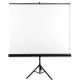 Projektionsleinwand auf AVTEK Tripod Standard 200 Stativ (manuell ausgerollt; 200 x 200 cm; 1:1; 111")