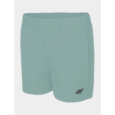 Damen-Trekkingshorts 4F H4L22-SKDTR061-47S