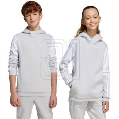 2. Adidas Squadra 25 Sweat Hoody Jr JD4808